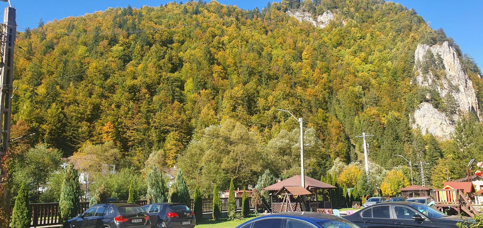 Pensiunea Cezar-Codrin Cheia  Exterior photo